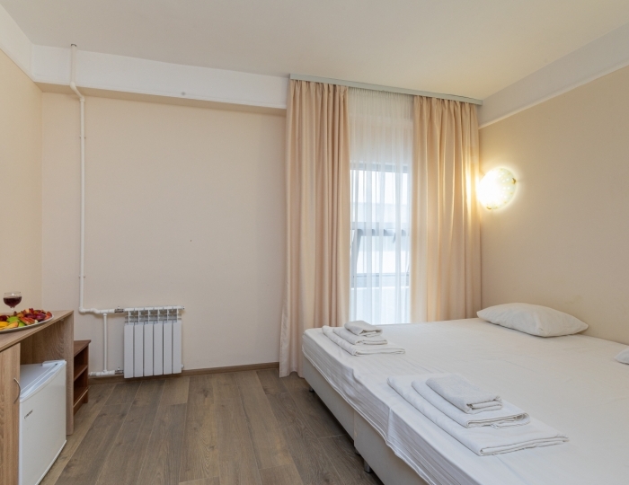 Эконом 2-местный 1-комнатный - Отель «Апсны» Гудаута