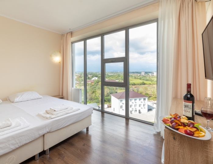 Эконом 2-местный 1-комнатный комфорт - Отель «Апсны» Гудаута